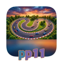 pp11